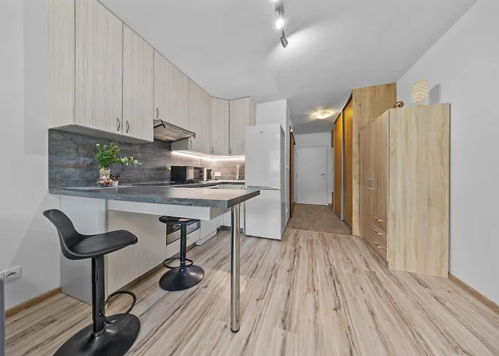 アパート 1-bedroom With Balcony, Rustaveliho - Raca